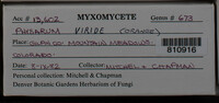 Image Associated With the Occurence